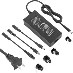 42V 2A 4-in-1 Universal Replacement Scooter Charger for Jetson,Gotrax,Razor,Swagtron,Brid,Segway,Ninebot 42V/36V Lithium-ion Battery