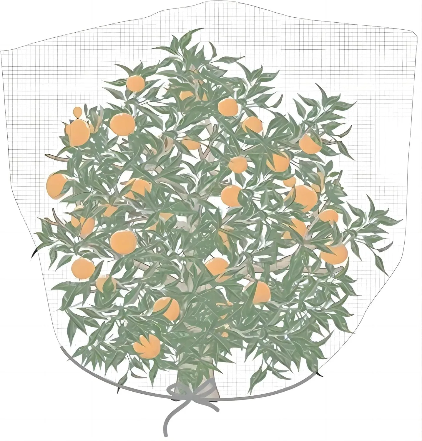 Agfabric Bird Netting 84" Hx72 W Garden Netting Insect Pest Barrier,Plant Cover Fruit Tree Netting Mesh Protection Bag with Drawstring,White
