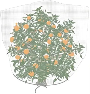 Agfabric Bird Netting 84" Hx72 W Garden Netting Insect Pest Barrier,Plant Cover Fruit Tree Netting Mesh Protection Bag with Drawstring,White