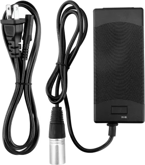 CJP-Geek AC Adapter Compatible with Mongoose Impact/ M150/ M200/ M250 Scooter 24V Battery