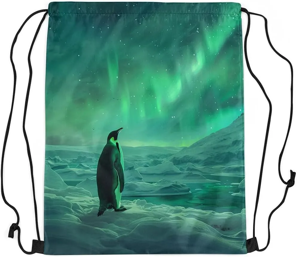 Erosebridal Penguin Draw String Back Bag,Dreamy Stars Galaxy Starry Sky Drawstring Backpack,Northern Lights Aurora Drawstring Bags,Natural Iceberg String Backpack,13x15.7
