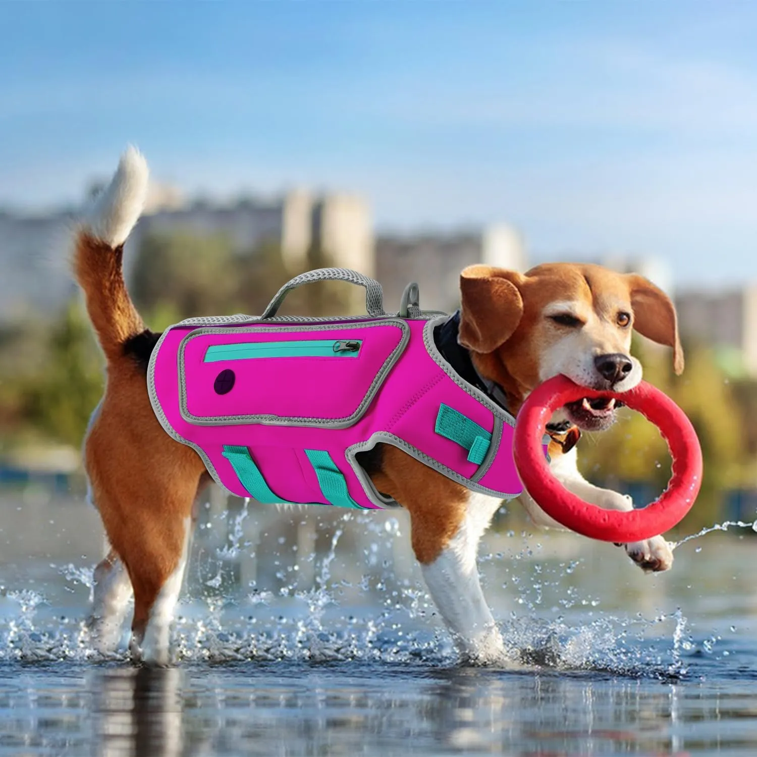 Life Jacket for Dogs High Buoyancy, Dog Life Vests for Swimming Adjustable Reflective Pet Floating Vest, Good Visibility Dog Swim Preserver with Rescue Handle for Medium Dogs (Rosepink, M)