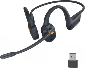Open Ear Bluetooth Headsets with Microphone, Wireless Computer Headphone with Mic for PC Mac Laptop, Office Home Online Class Open-Ear Headset (Gray, Headset   Dongle)