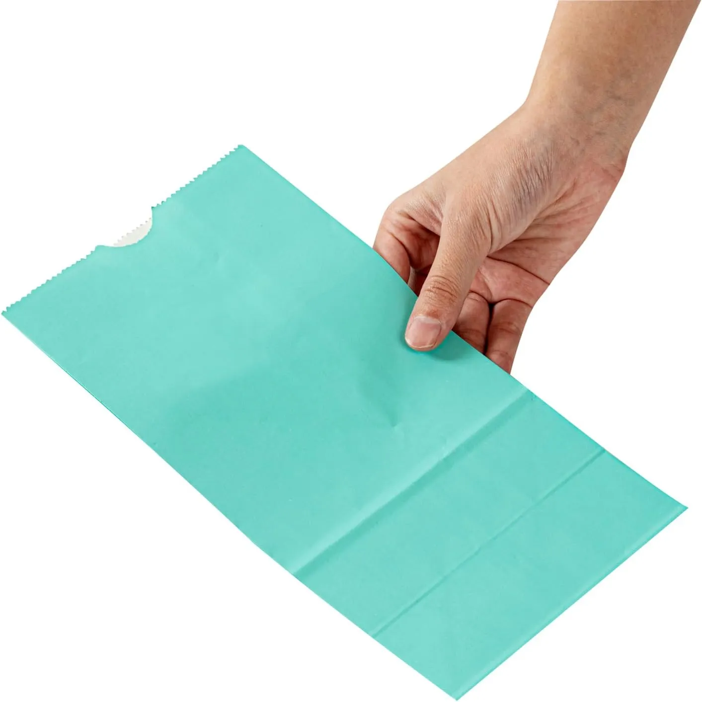 Restaurantware Bag Tek 4 LB Disposable Lunch Bags 100 Sturdy Take Out Bags - Flat Bottom Great For Restaurants Cafes And Bakeries Turquoise Paper Popcorn Bags Versatile For Grocery And More