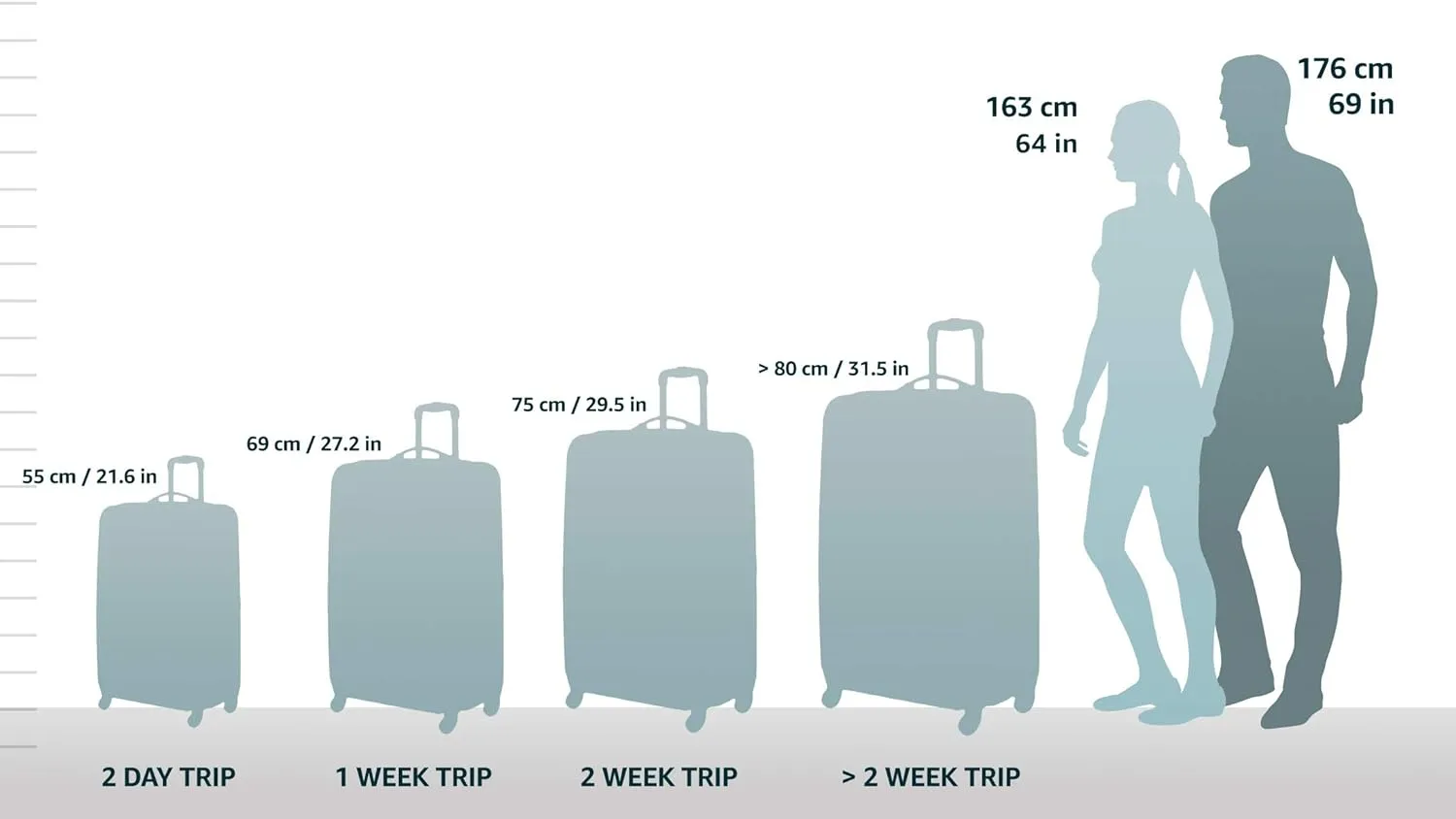 Rockland Titan Hardside Spinner Luggage, Purple, Carry-On 19-Inch