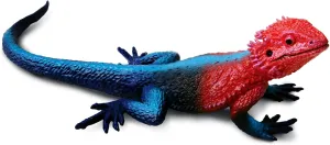 Safari Ltd. Mwanza Flat-Headed Rock Agama Lizard Figurine - Detailed 9.5" Plastic Model Figure - Fun Educational Toy for Boys, Girls & Kids Ages 3 
