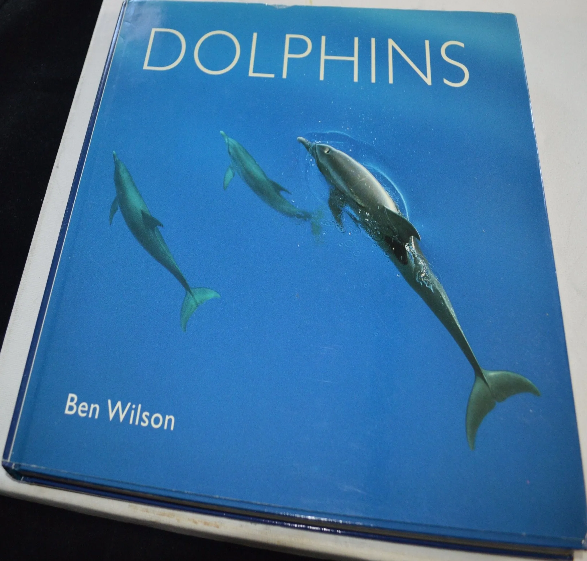 SECONDHAND BOOK DOLPHINS by BEN WILSON(PREVIOUSLY OWNED) VERY GOOD CONDITION