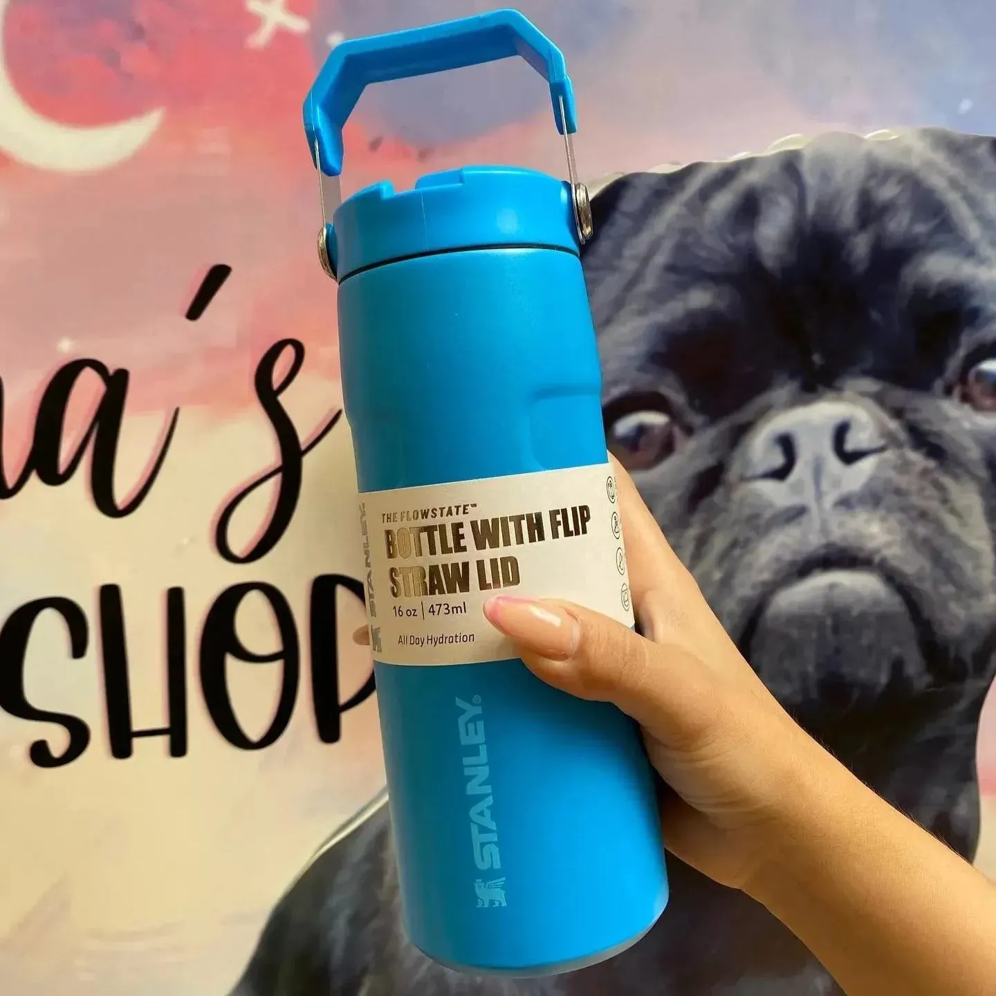 Stanley IceFlow Flip Straw 2.0 Water Bottle (16 oz)