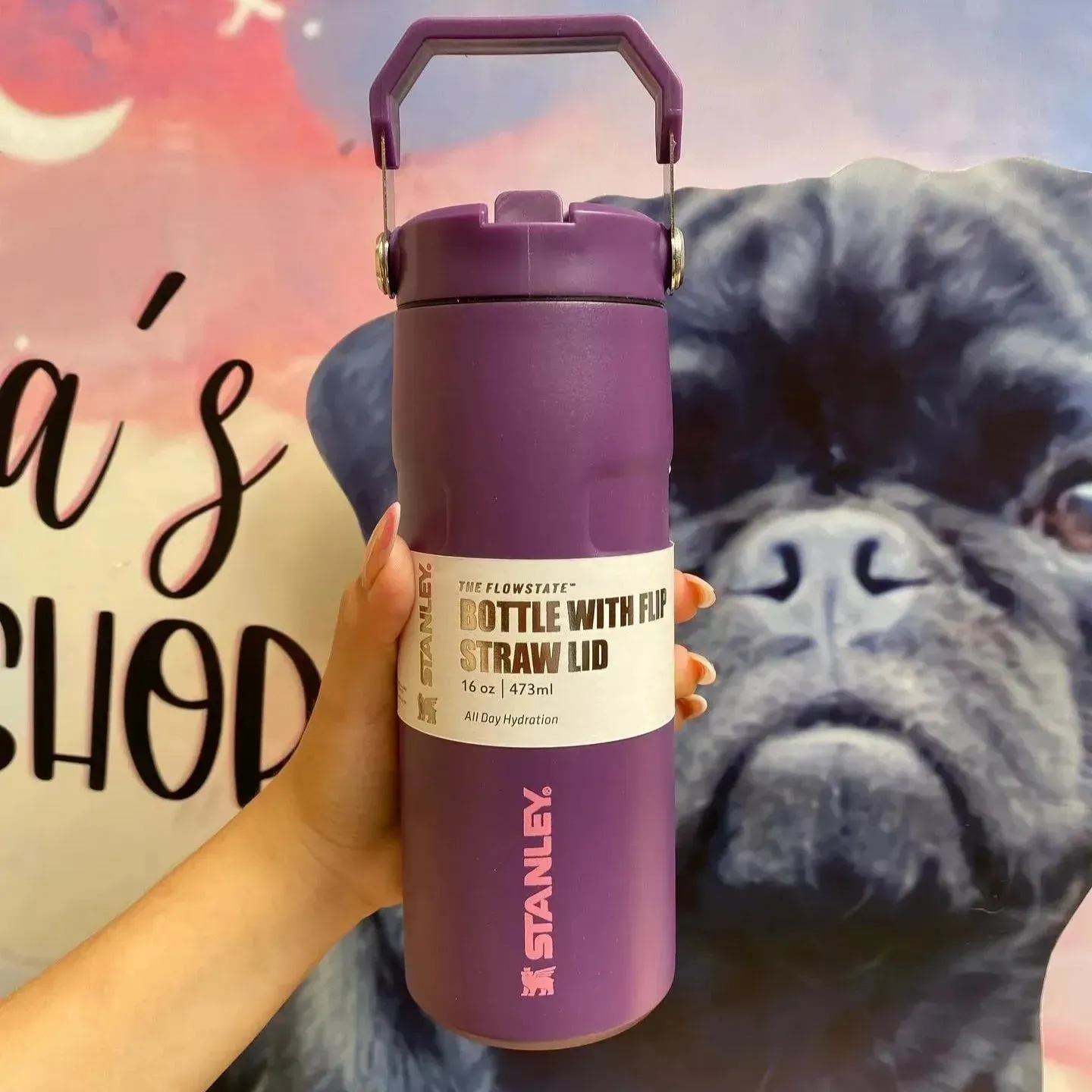 Stanley IceFlow Flip Straw 2.0 Water Bottle (16 oz)