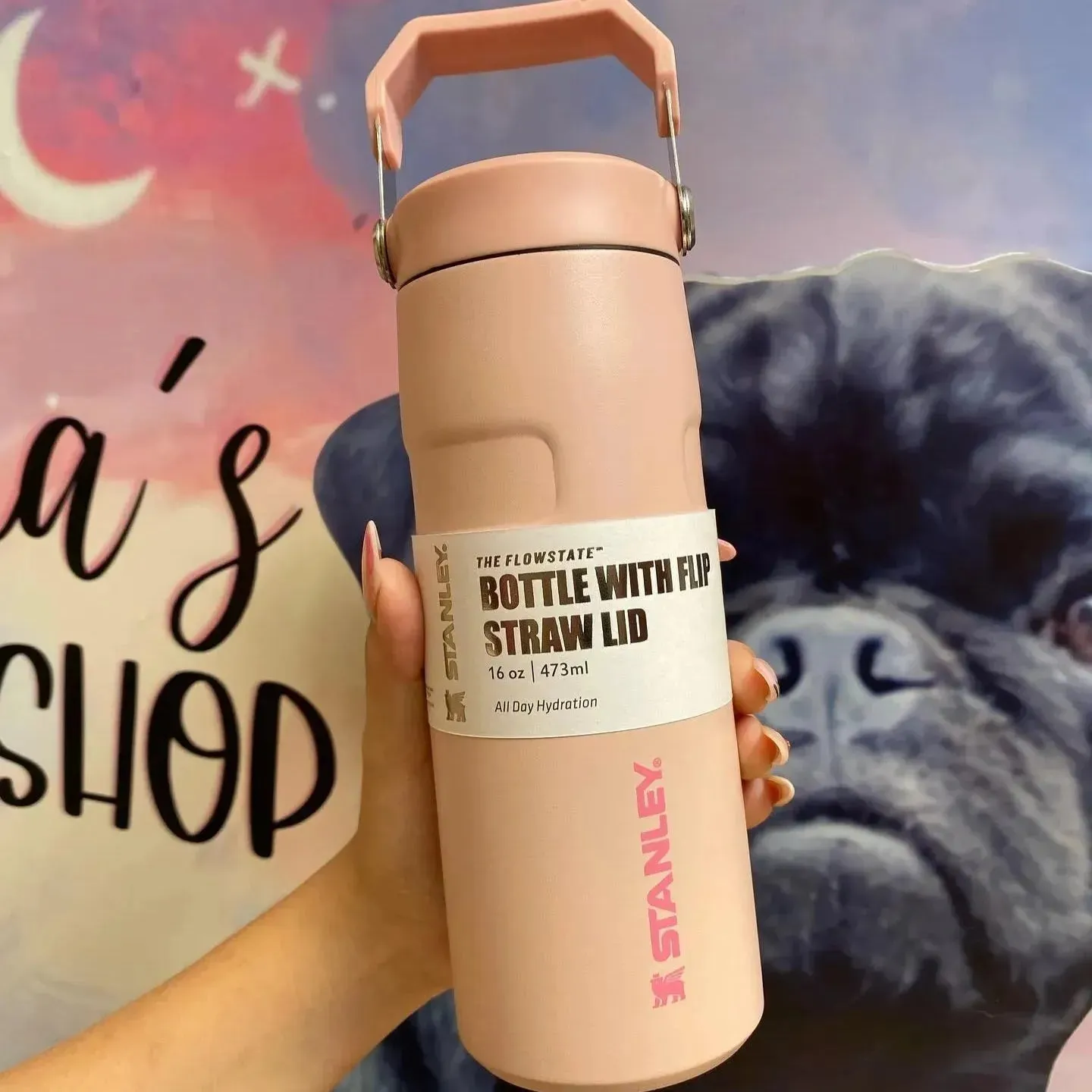 Stanley IceFlow Flip Straw 2.0 Water Bottle (16 oz)