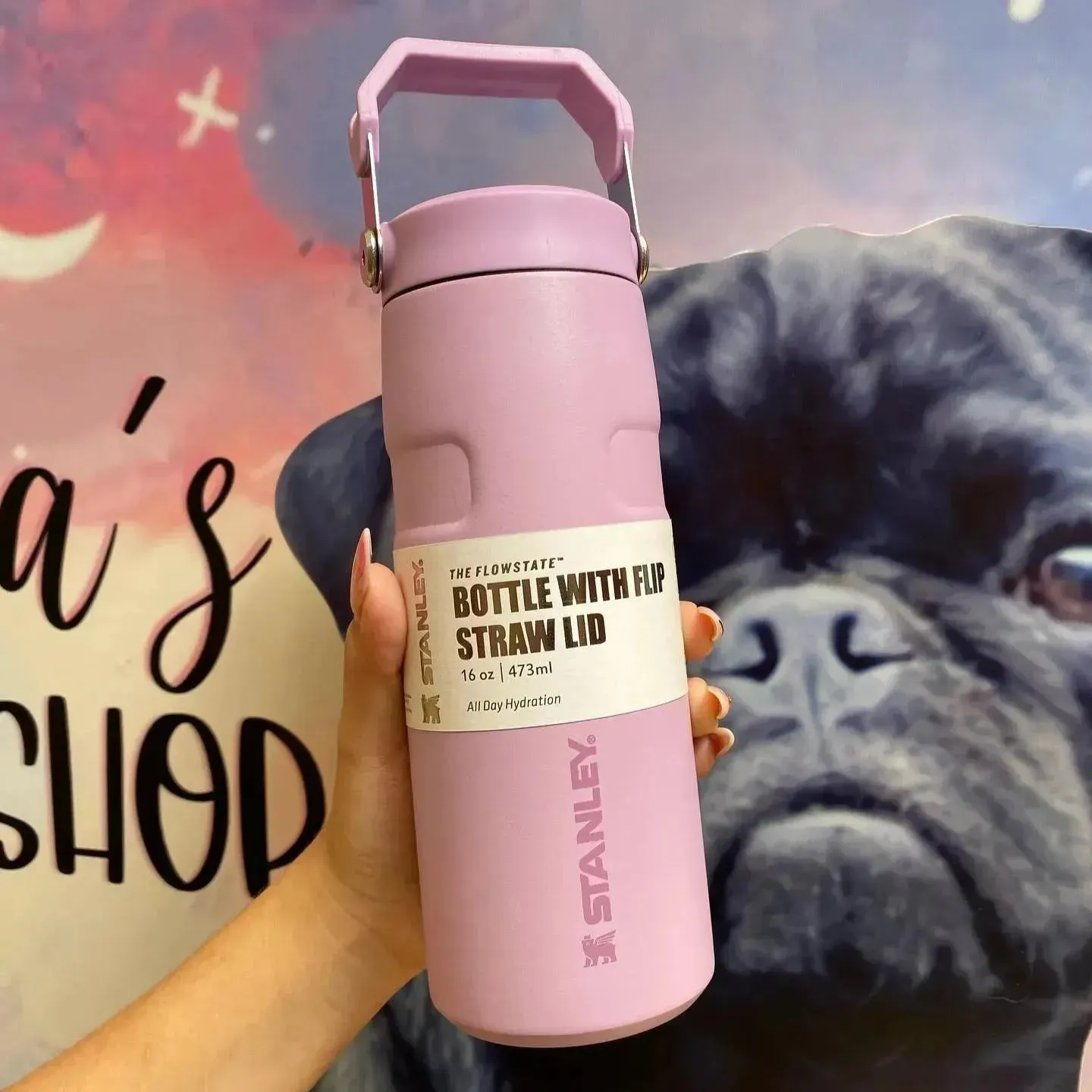 Stanley IceFlow Flip Straw 2.0 Water Bottle (16 oz)