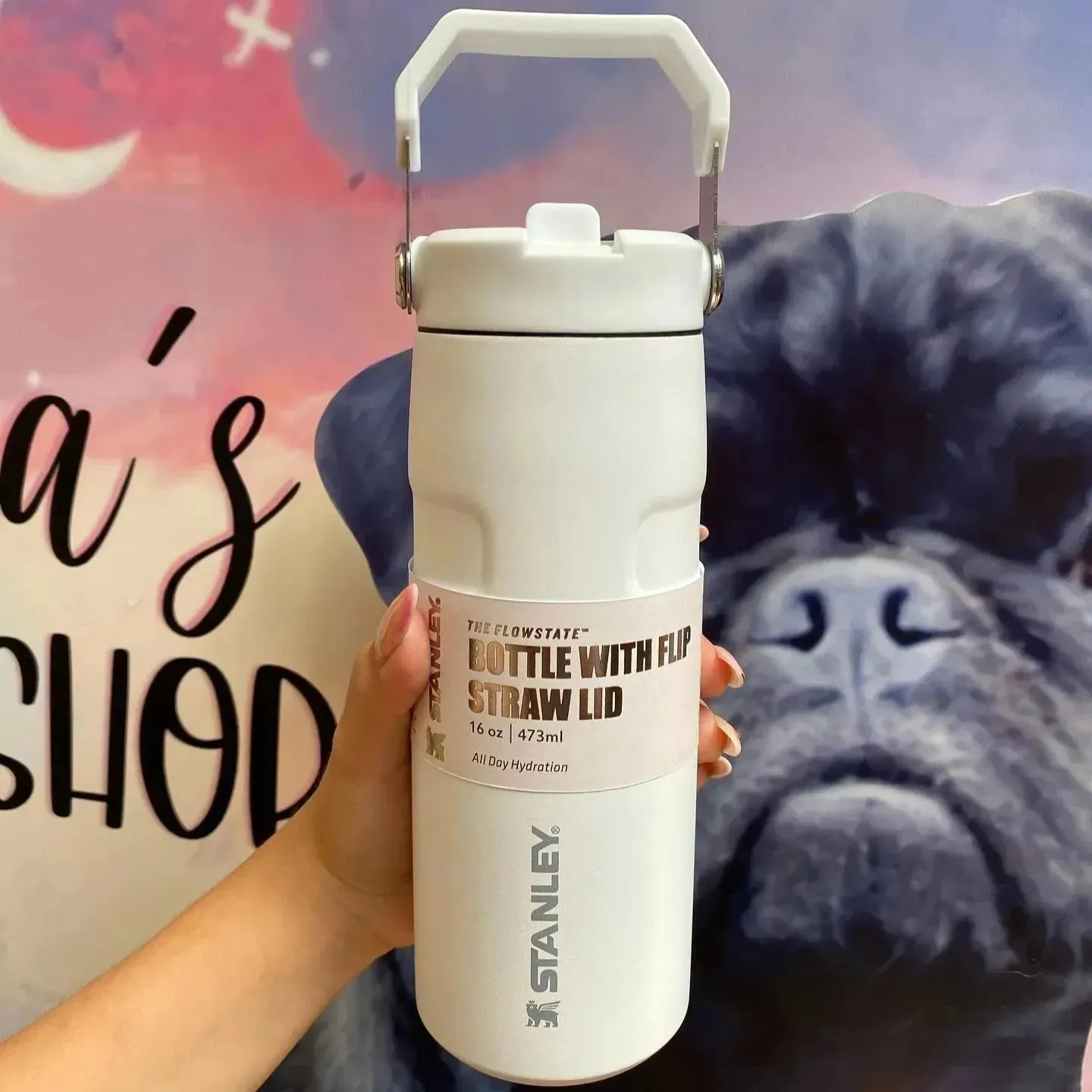 Stanley IceFlow Flip Straw 2.0 Water Bottle (16 oz)