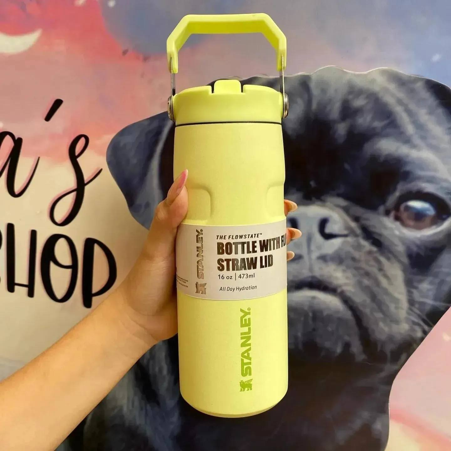 Stanley IceFlow Flip Straw 2.0 Water Bottle (16 oz)