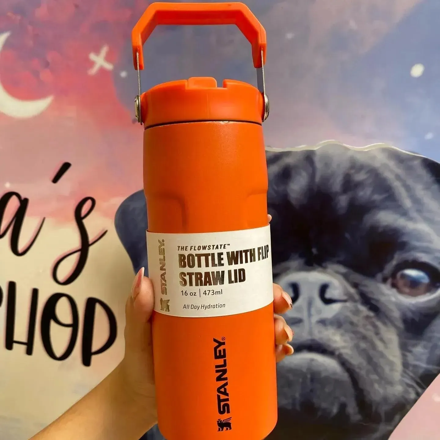 Stanley IceFlow Flip Straw 2.0 Water Bottle (16 oz)