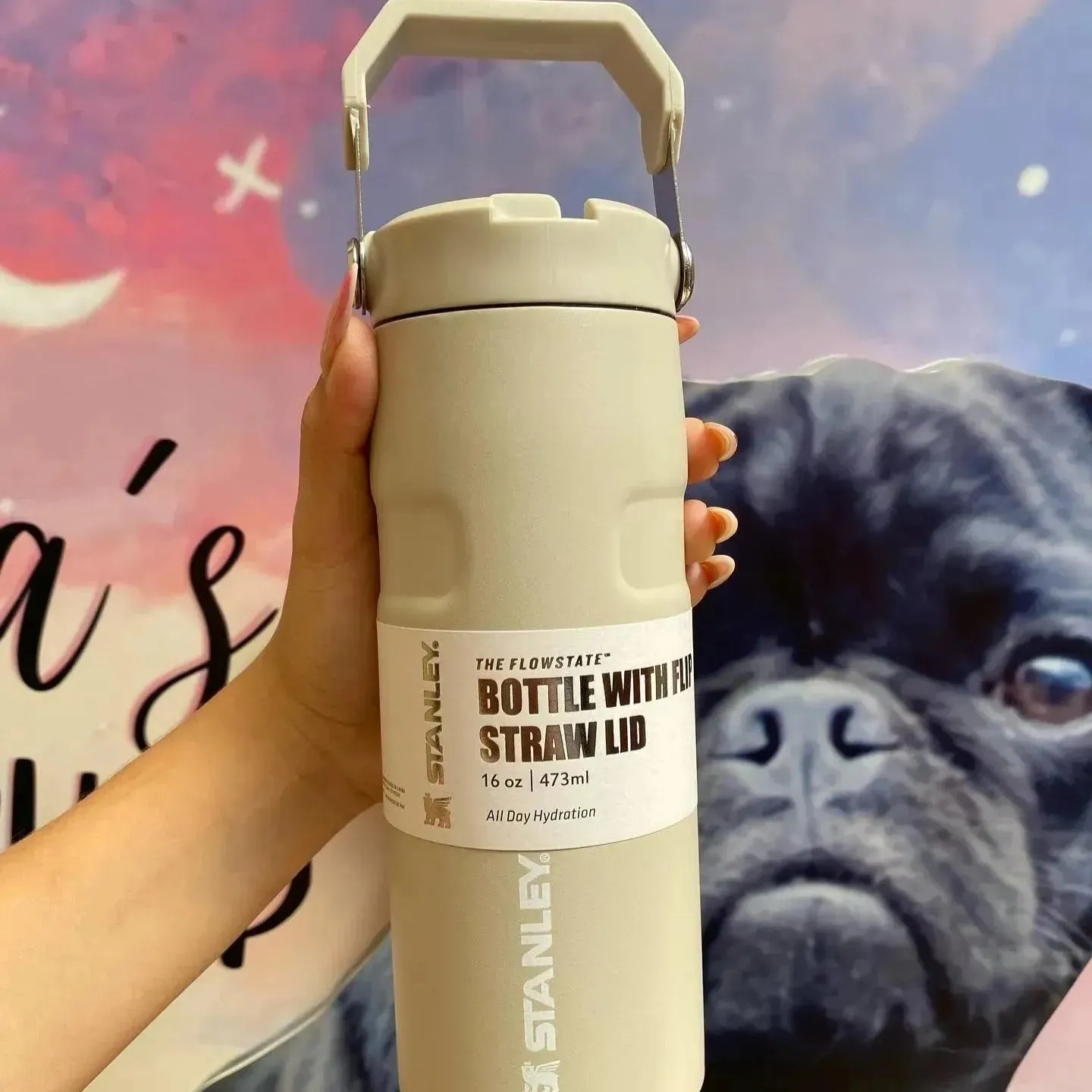 Stanley IceFlow Flip Straw 2.0 Water Bottle (16 oz)