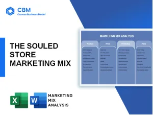 THE SOULED STORE MARKETING MIX