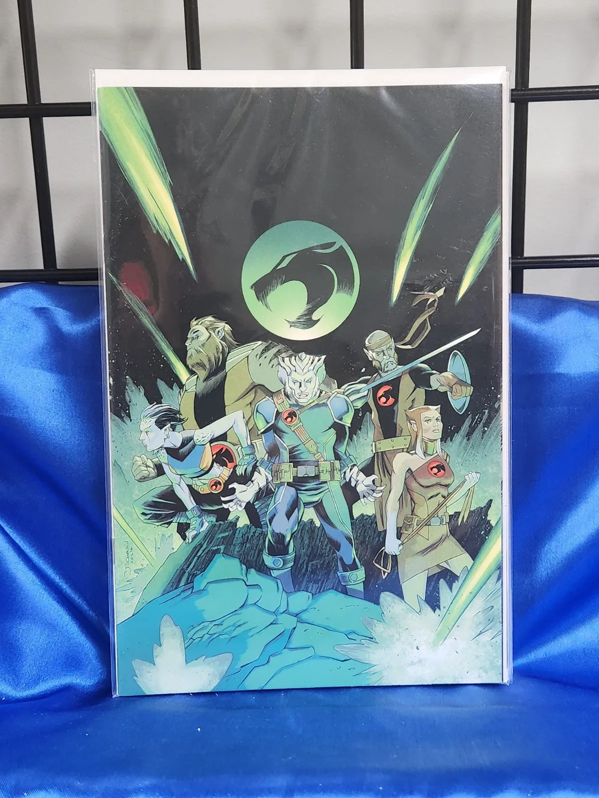 Thundercats Lost #1 Cover Q 21:5 Variant Virgin.We Combine. We Pack Well