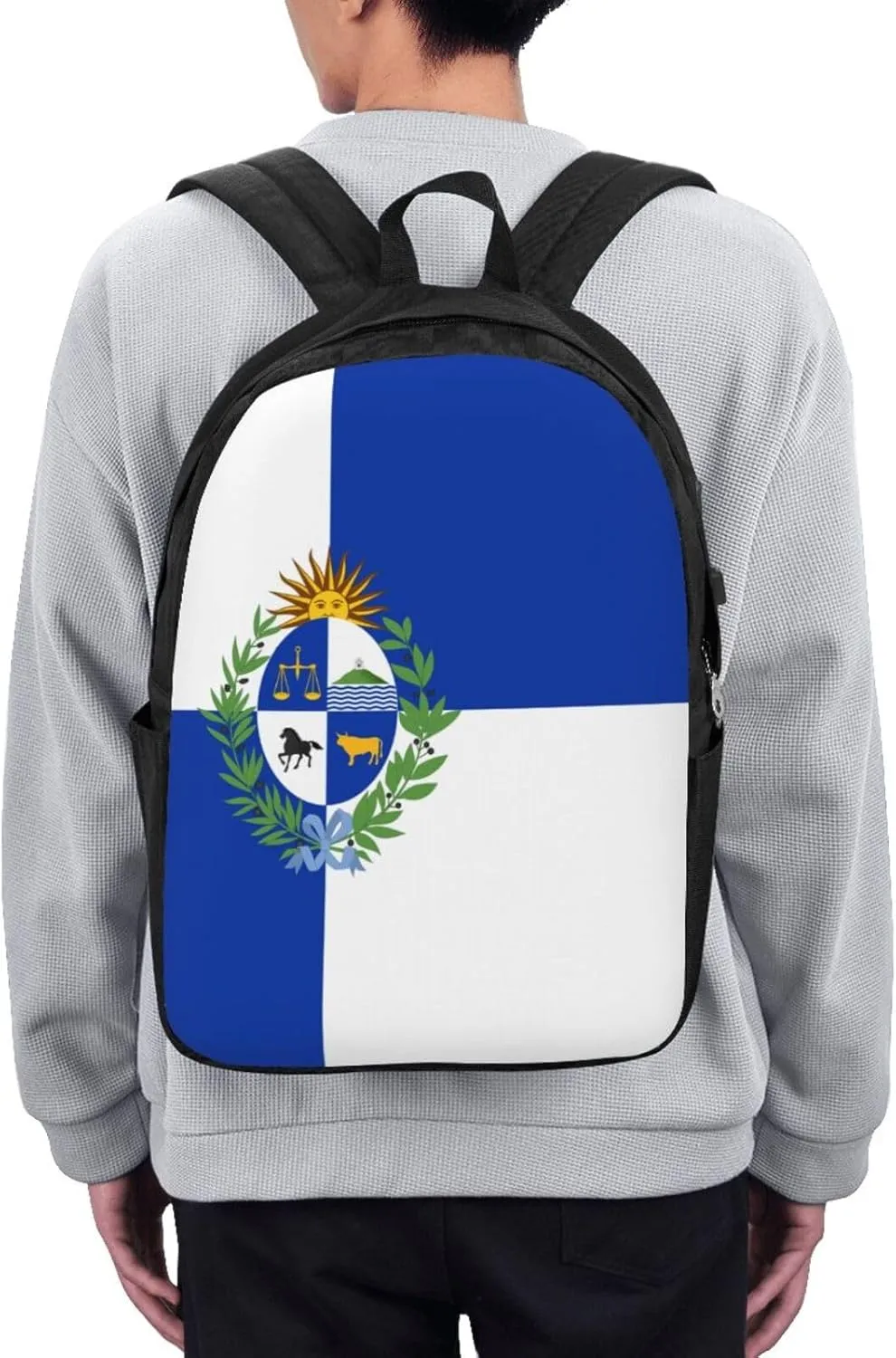 Uruguay Uruguayan Flag Laptop Backpacks Travel Backpack Casual Business Daypack Sport Rucksack Computer Bag Fits up to 17 Inch Notebook with USB Port