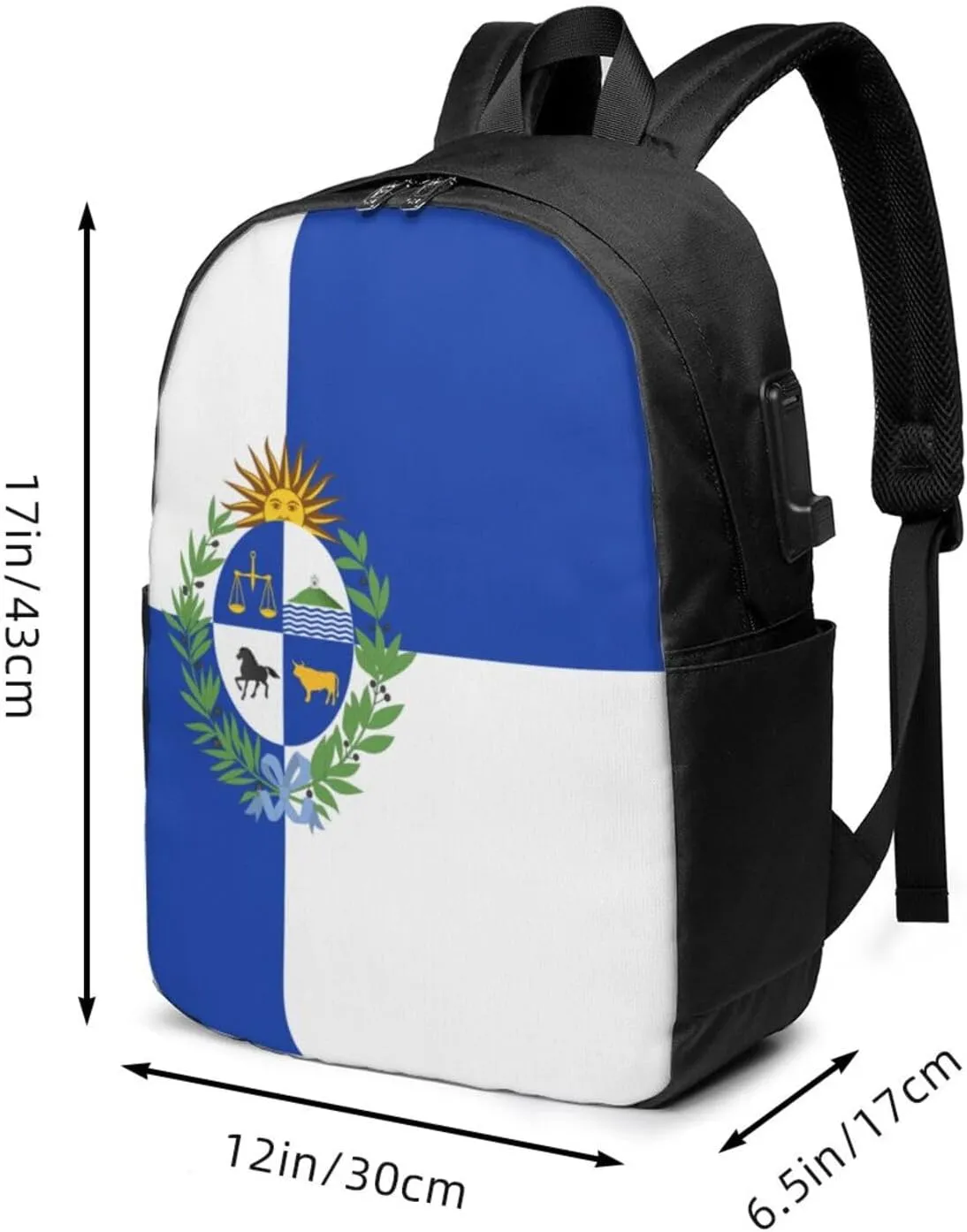 Uruguay Uruguayan Flag Laptop Backpacks Travel Backpack Casual Business Daypack Sport Rucksack Computer Bag Fits up to 17 Inch Notebook with USB Port