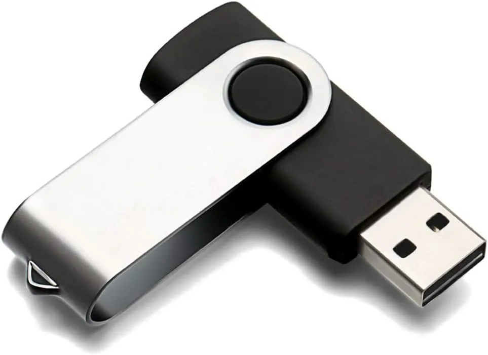 USB Flash Drive 2GB 20 Pack, Bulk USB 2.0 Flash Drives Thumb Drive Swivel Memory Stick Jump Drive Pen Drive, Black, 2 GB, 20 Pieces